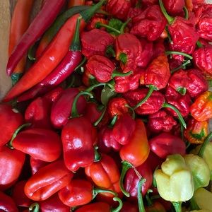 Meet your Posher, Kerryn